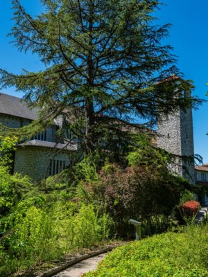 tournay-23